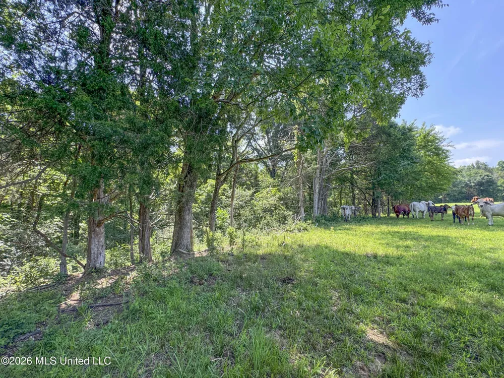 2169 Slocum Road Hernando, MS 38632