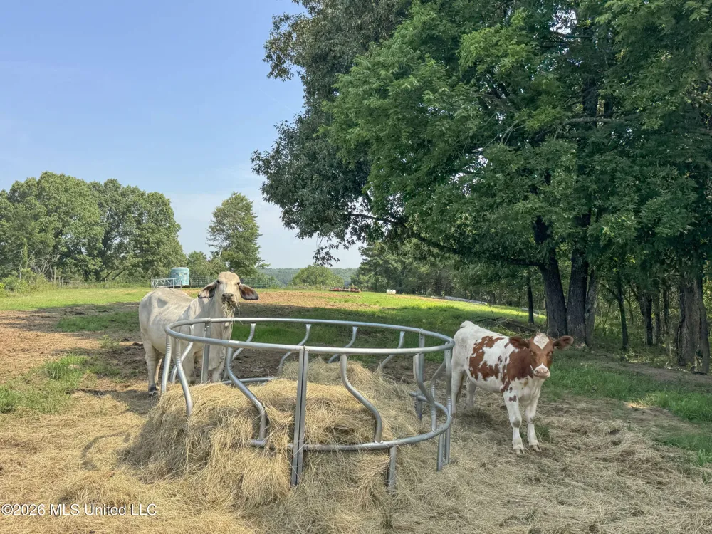2169 Slocum Road Hernando, MS 38632