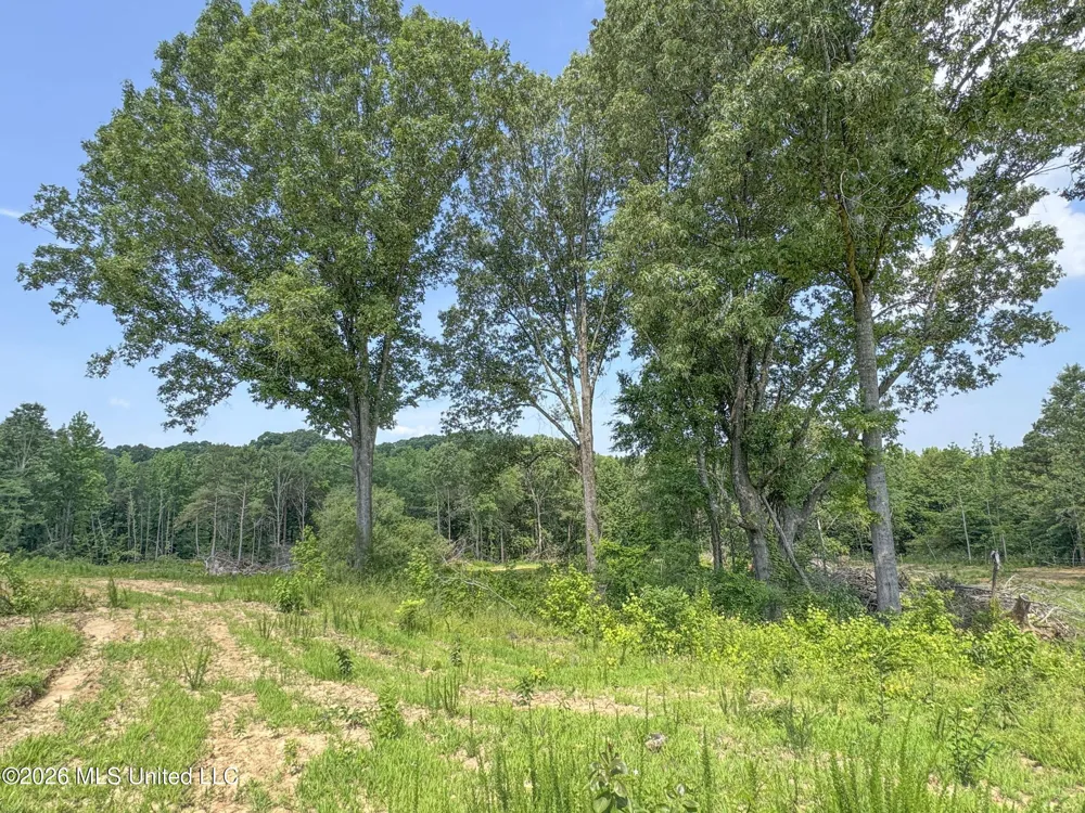 2169 Slocum Road Hernando, MS 38632