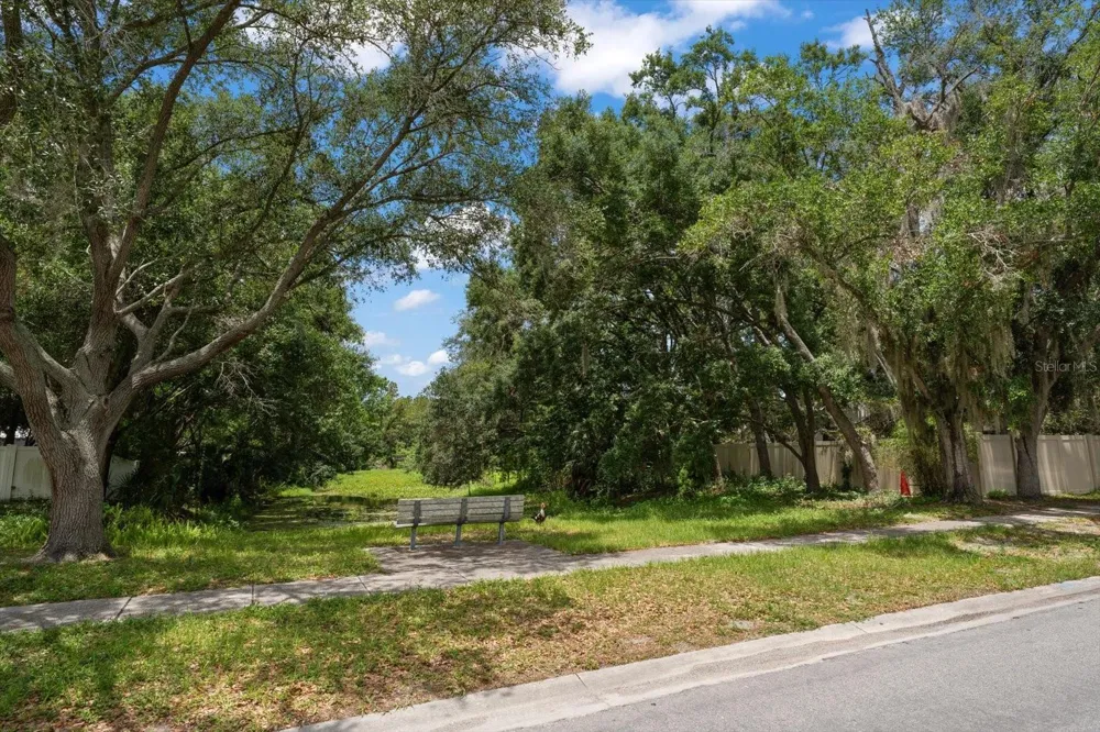 3408 CULLENDALE DRIVE Tampa, FL 33618