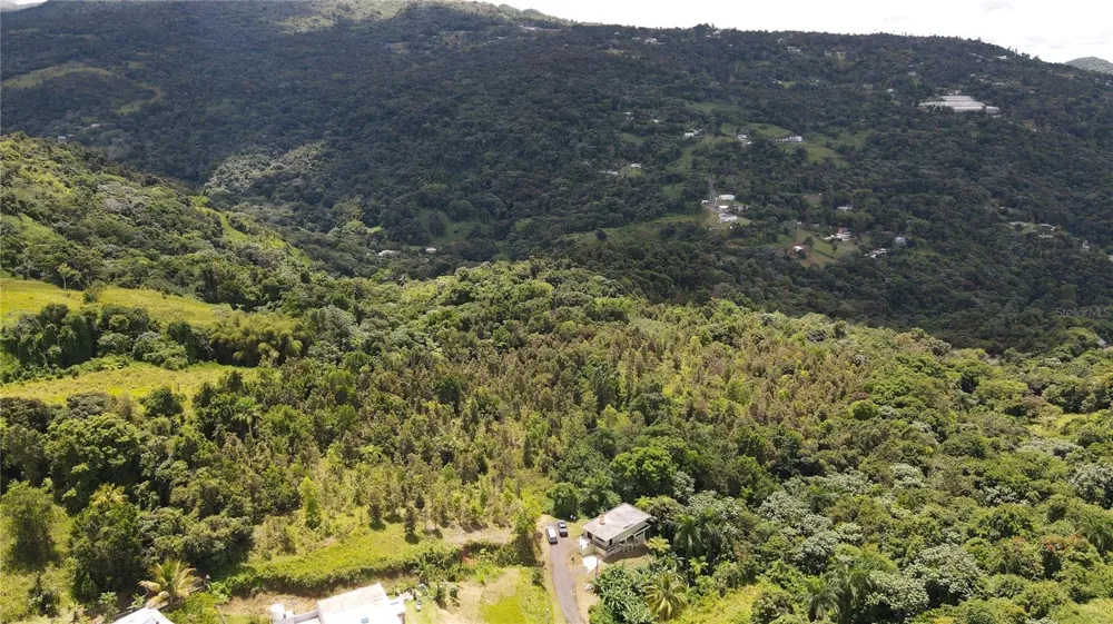 185 Km. 5.8 BO CAMPO RICO SECTOR PENIEL Canovanas, PR 00729