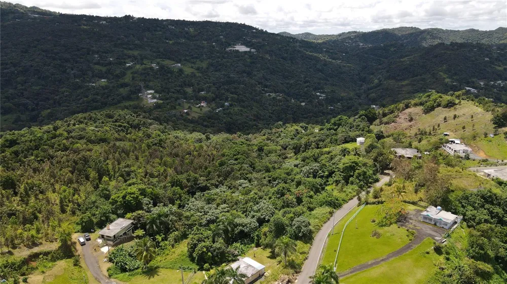 185 Km. 5.8 BO CAMPO RICO SECTOR PENIEL Canovanas, PR 00729