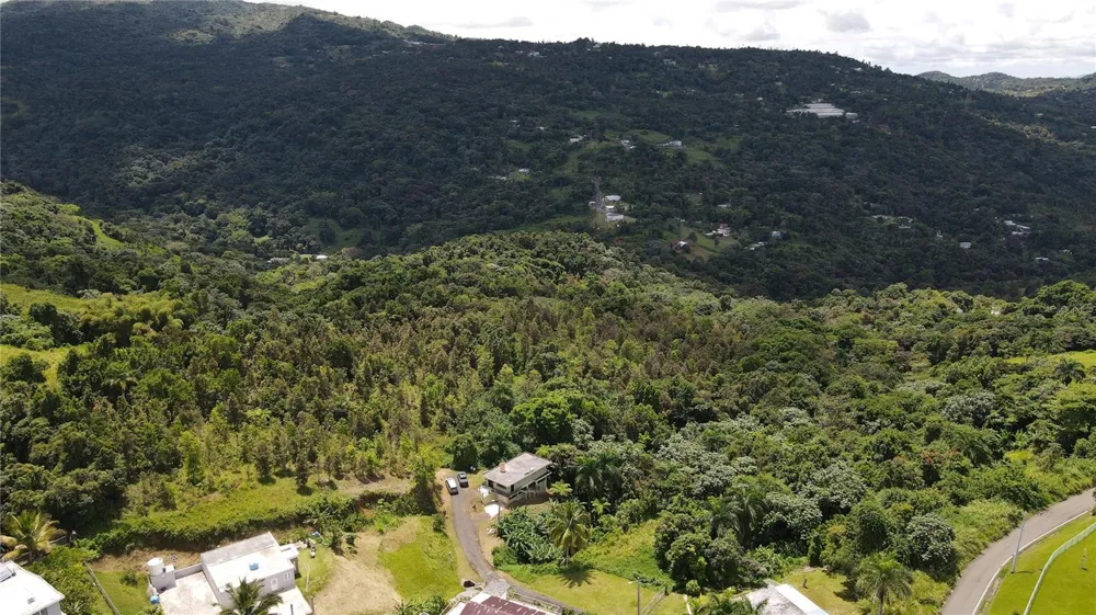 185 Km. 5.8 BO CAMPO RICO SECTOR PENIEL Canovanas, PR 00729