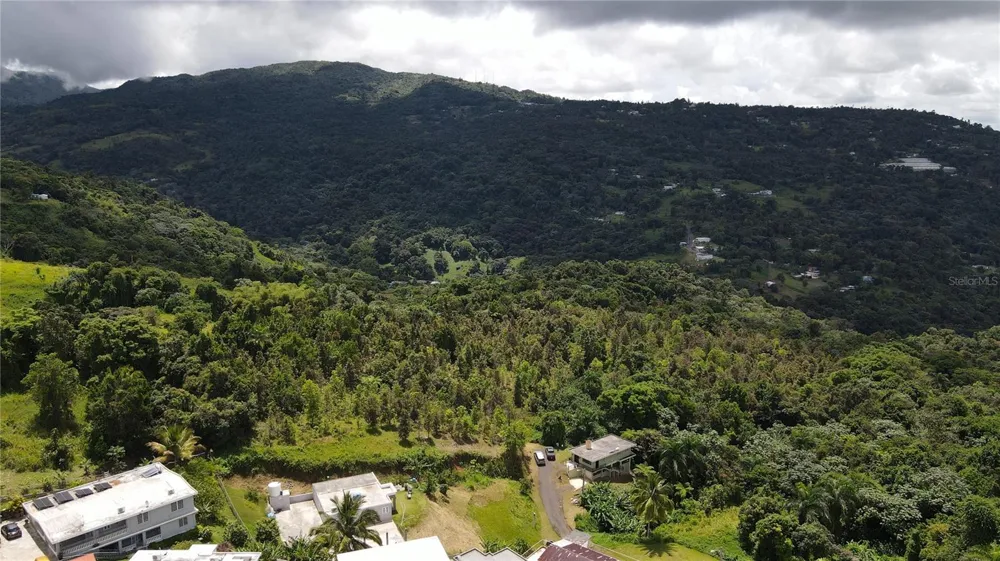 185 Km. 5.8 BO CAMPO RICO SECTOR PENIEL Canovanas, PR 00729