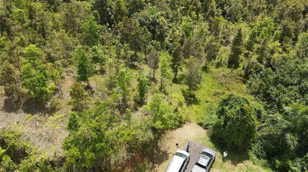 185 Km. 5.8 BO CAMPO RICO SECTOR PENIEL Canovanas, PR 00729