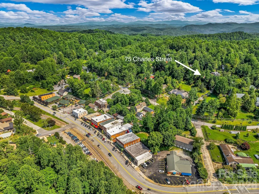 75 Charles Street Saluda, NC 28773