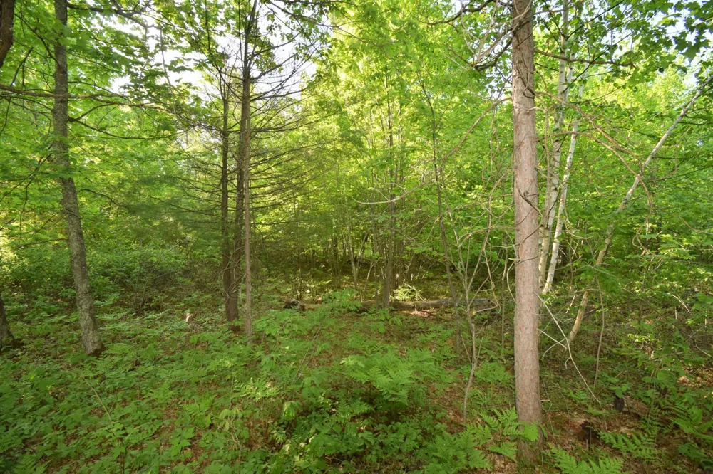 Lot 106 Setting Sun Court Danbury, WI 54830