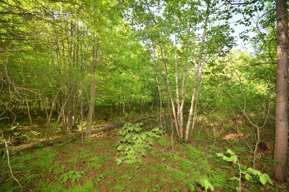 Lot 106 Setting Sun Court Danbury, WI 54830