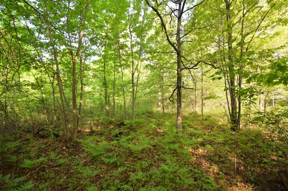 Lot 106 Setting Sun Court Danbury, WI 54830
