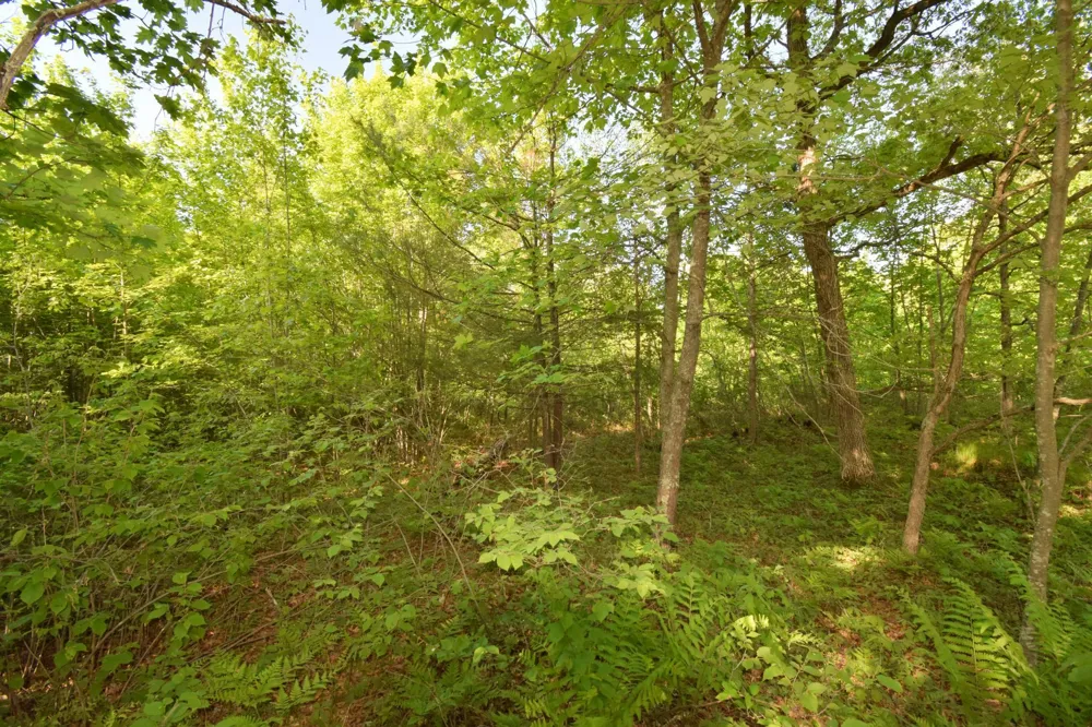 Lot 106 Setting Sun Court Danbury, WI 54830