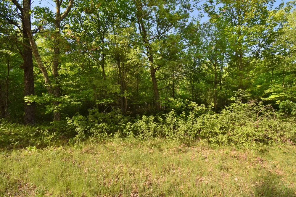 Lot 106 Setting Sun Court Danbury, WI 54830