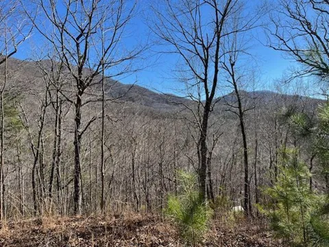 Lot 10 Mountain Valley View