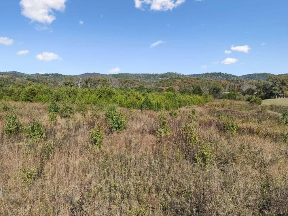 Old Sink Church, Lot 32 Tellico Plains, TN 37385