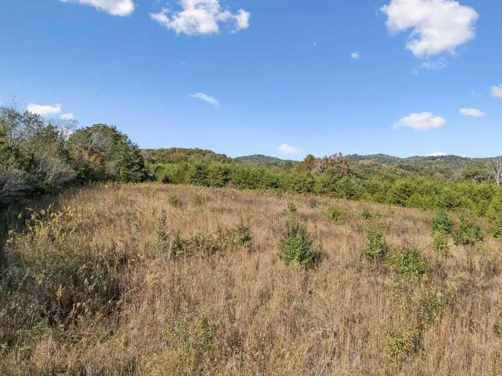 Old Sink Church, Lot 32 Tellico Plains, TN 37385