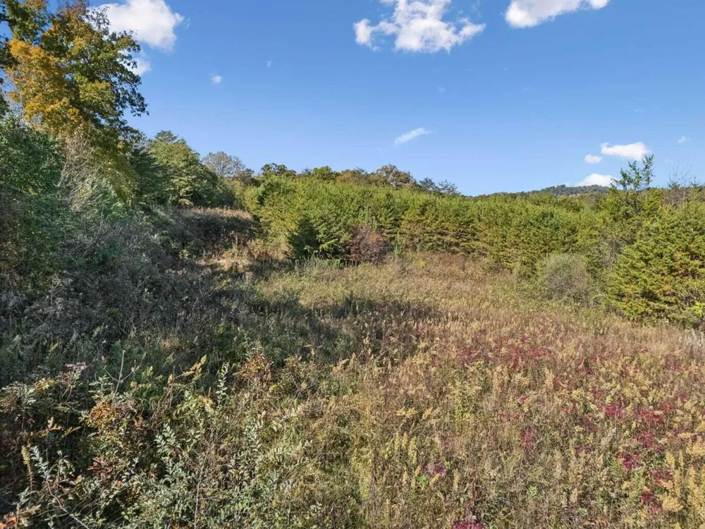 Old Sink Church, Lot 32 Tellico Plains, TN 37385