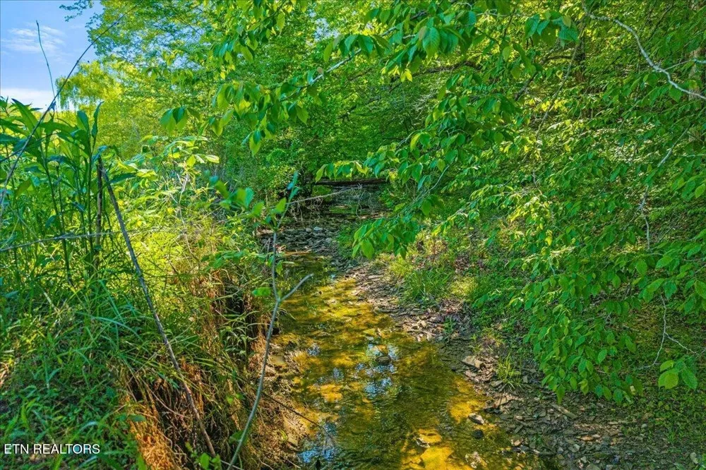 0 Shadden Road Tellico Plains, TN 37385