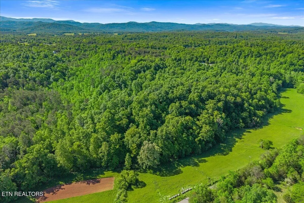 0 Shadden Road Tellico Plains, TN 37385