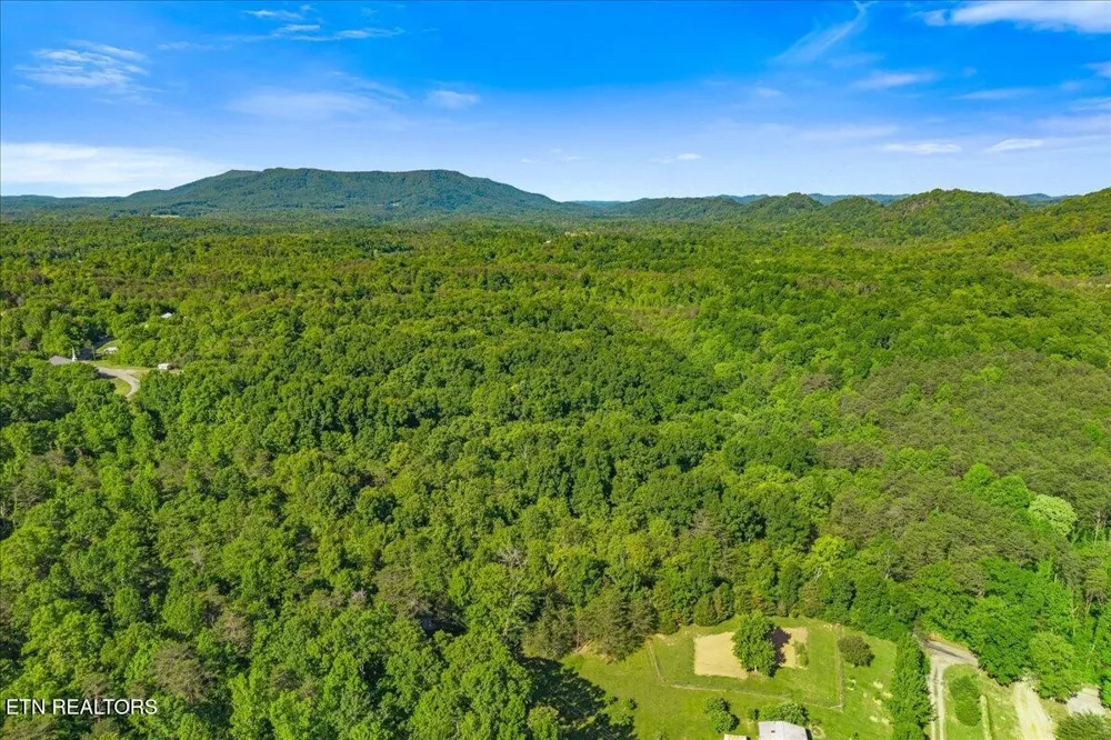 0 Shadden Road Tellico Plains, TN 37385