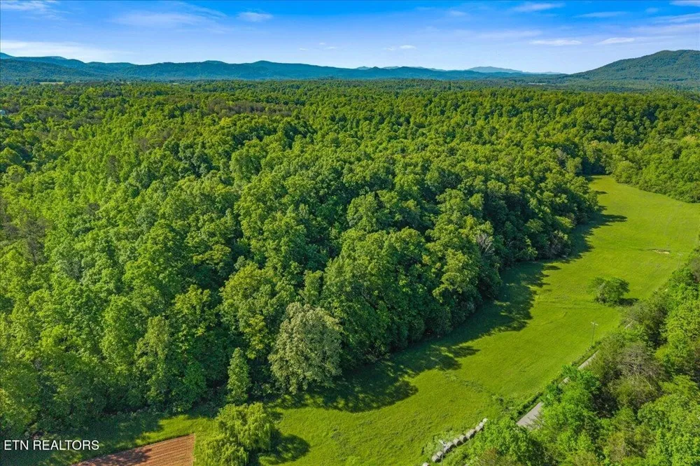 0 Shadden Road Tellico Plains, TN 37385