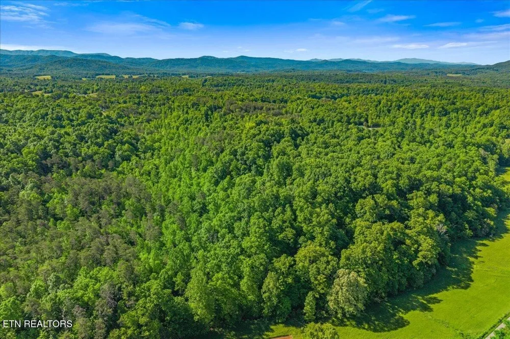 0 Shadden Road Tellico Plains, TN 37385
