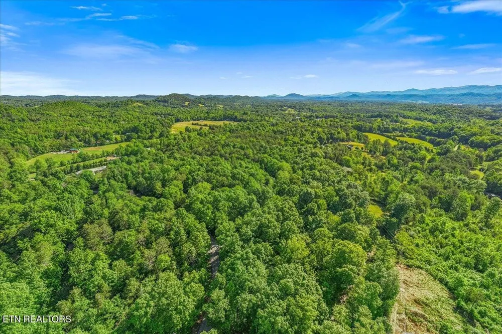 0 Shadden Road Tellico Plains, TN 37385