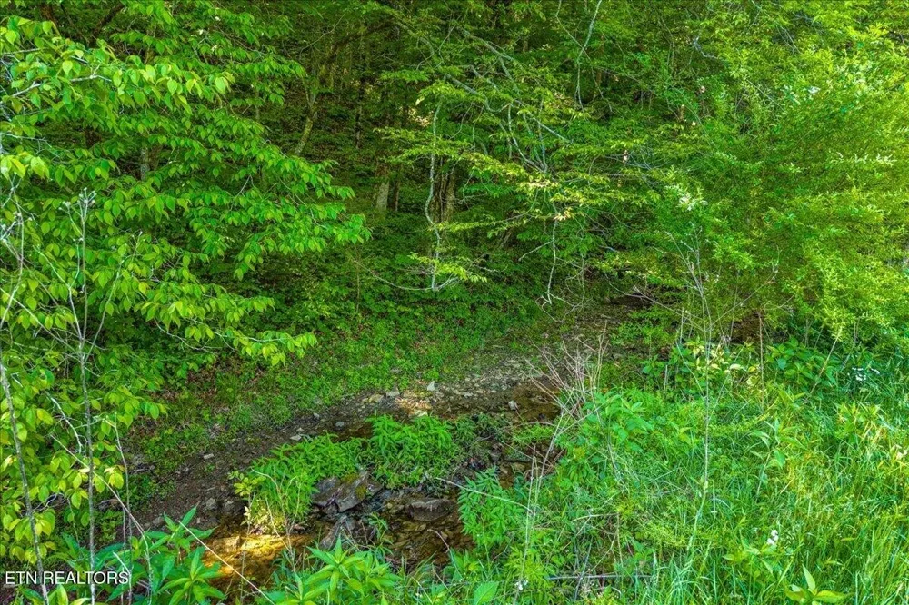 0 Shadden Road Tellico Plains, TN 37385