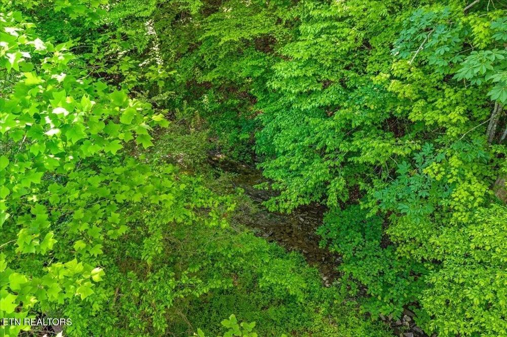 0 Shadden Road Tellico Plains, TN 37385