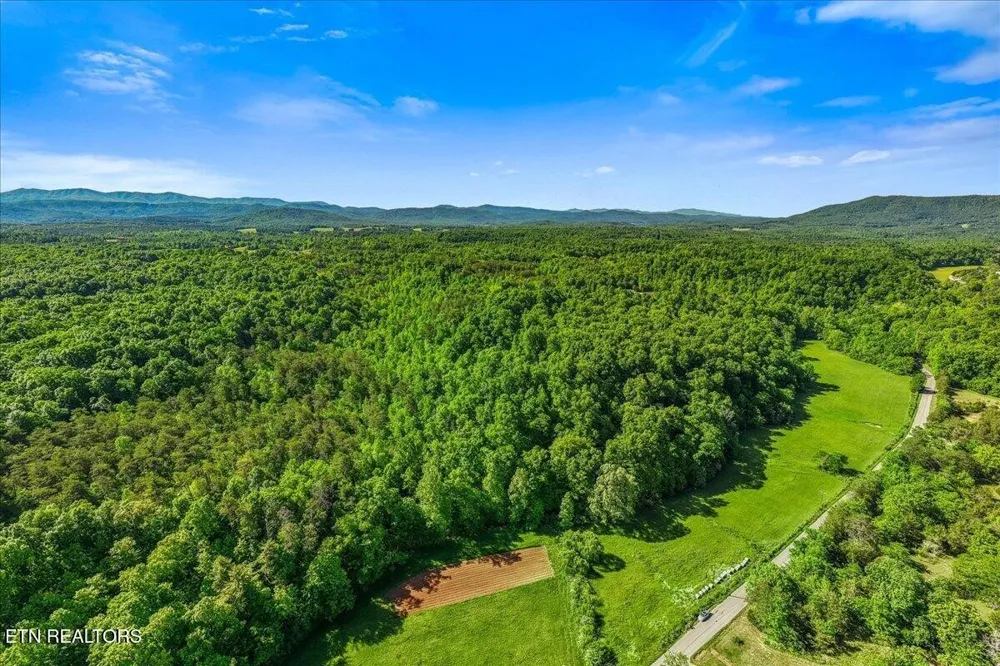 0 Shadden Road Tellico Plains, TN 37385