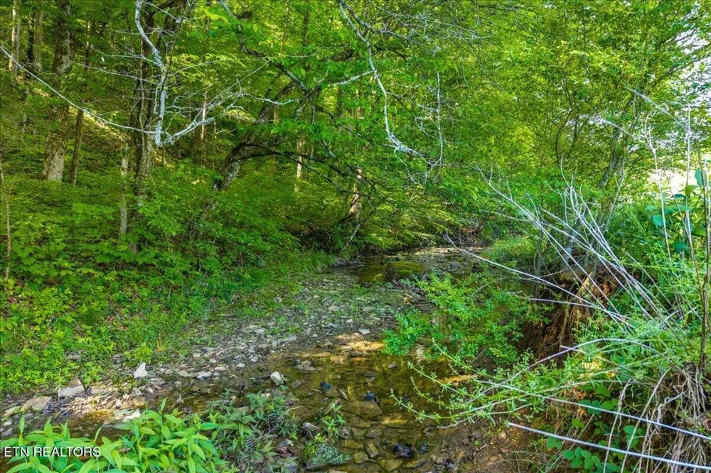 0 Shadden Road Tellico Plains, TN 37385