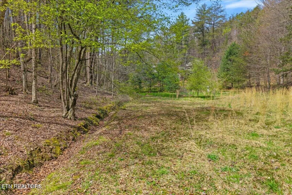 1736 Rafter Road Tellico Plains, TN 37385