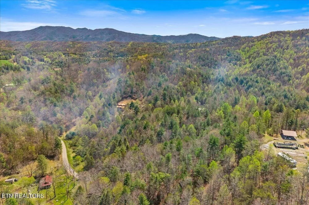 1736 Rafter Road Tellico Plains, TN 37385