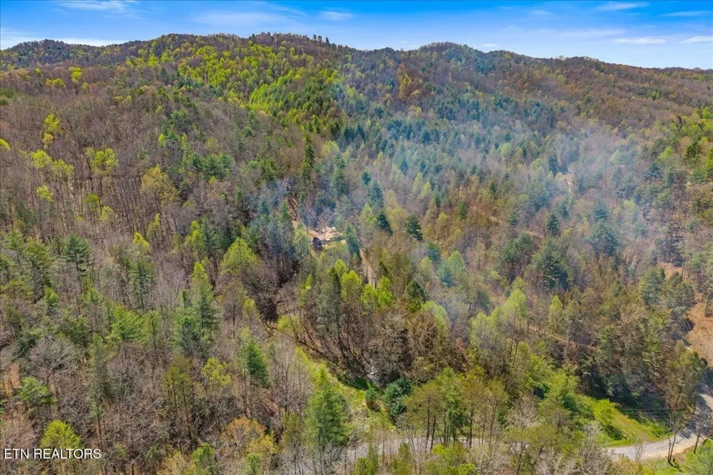 1736 Rafter Road Tellico Plains, TN 37385