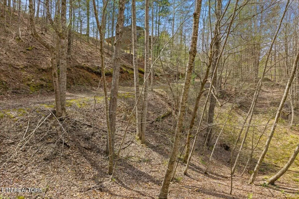 1736 Rafter Road Tellico Plains, TN 37385