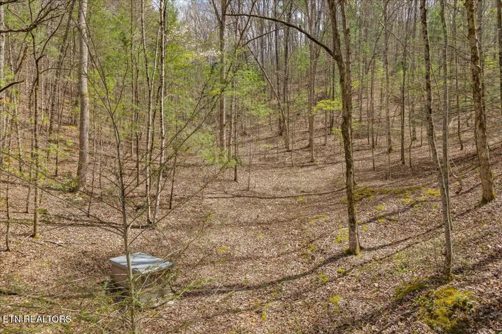 1736 Rafter Road Tellico Plains, TN 37385