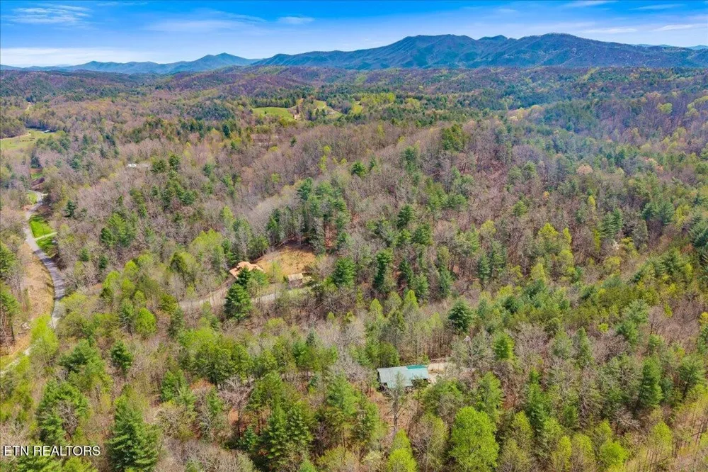 1736 Rafter Road Tellico Plains, TN 37385