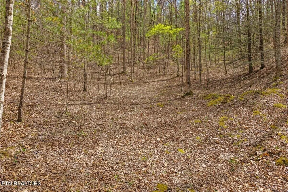 1736 Rafter Road Tellico Plains, TN 37385
