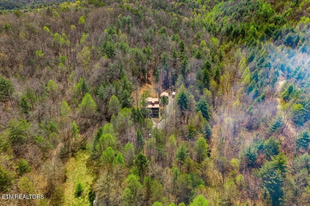 1736 Rafter Road Tellico Plains, TN 37385