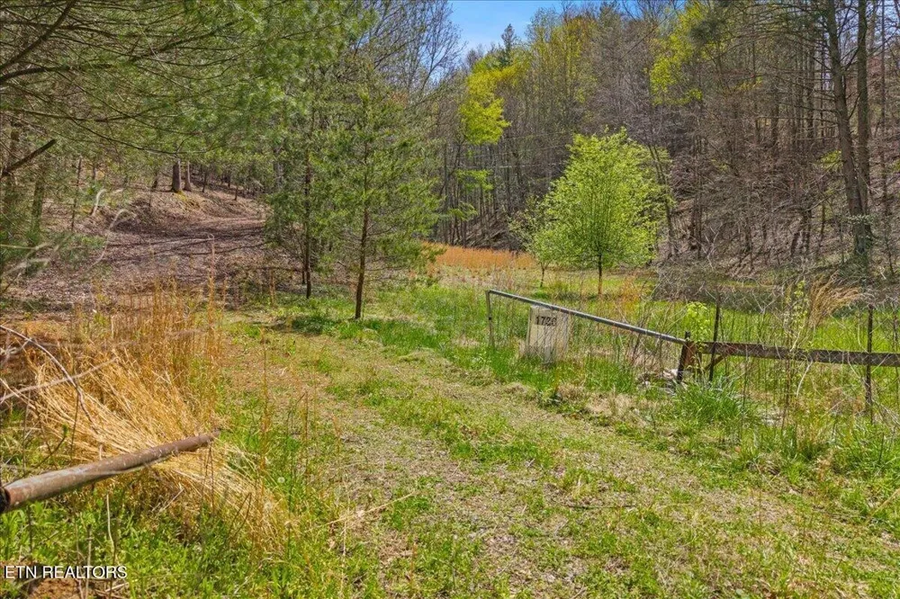 1736 Rafter Road Tellico Plains, TN 37385