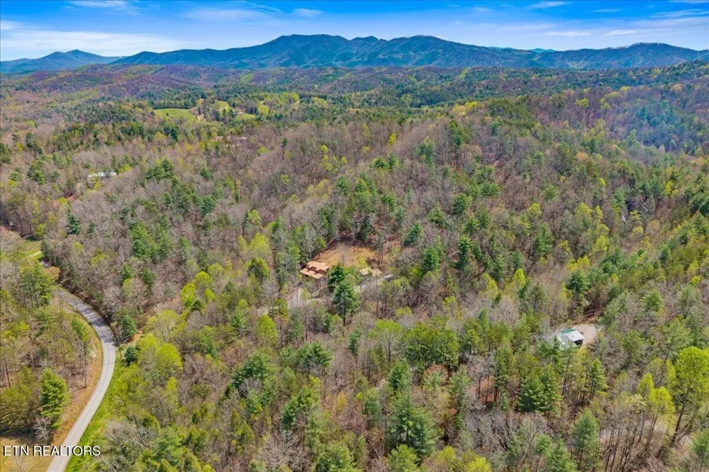 1736 Rafter Road Tellico Plains, TN 37385