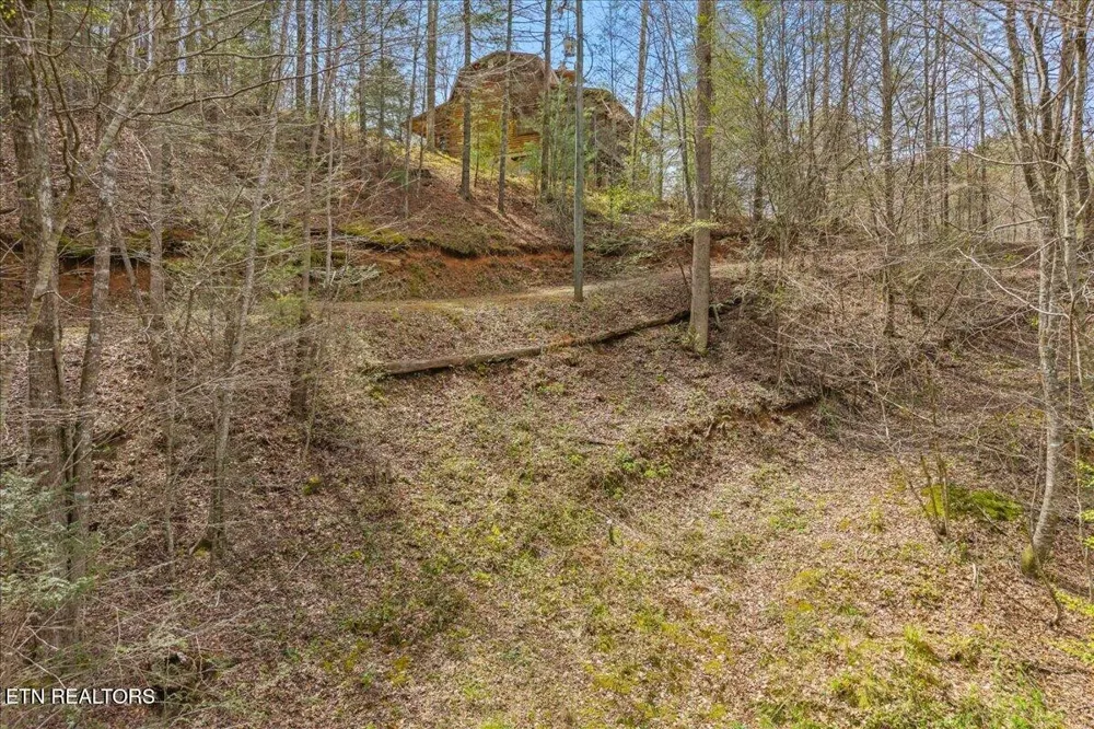 1736 Rafter Road Tellico Plains, TN 37385