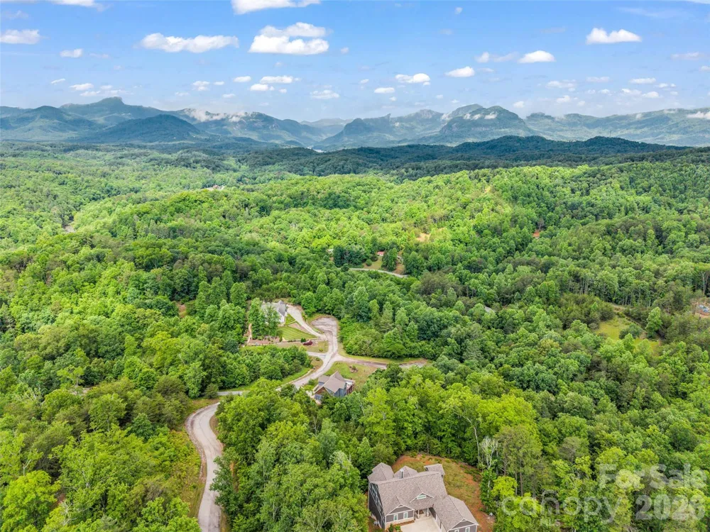 334 Willow Top Lane Lake Lure, NC 28746