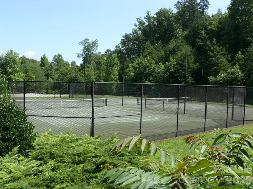 334 Willow Top Lane Lake Lure, NC 28746
