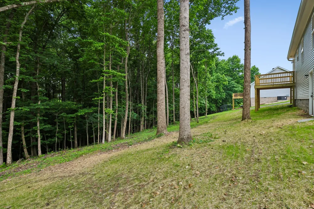 144 Towers Ln Woodbury, TN 37190