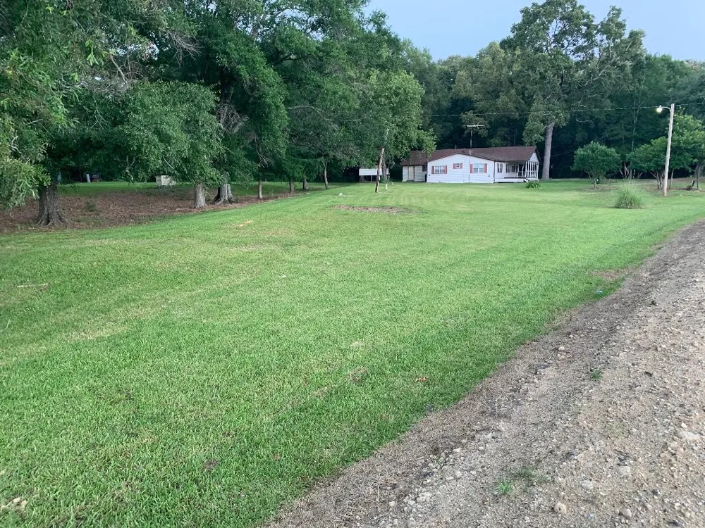 3644 Spurgin Road Doyline, LA 71023