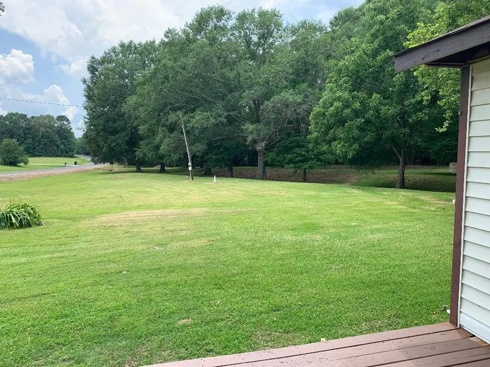 3644 Spurgin Road Doyline, LA 71023