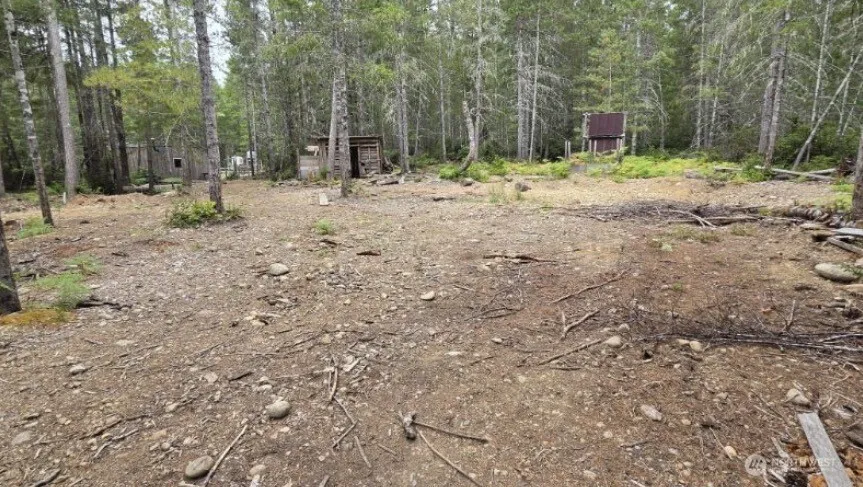 0 Lot 5 NE Shoe Lake Road Tahuya, WA 98588