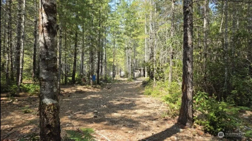 0 Lot 5 NE Shoe Lake Road Tahuya, WA 98588