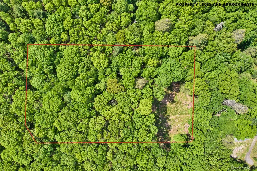 Jersey Road Wurtsboro, NY 12790