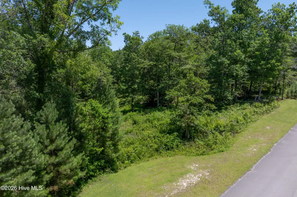 Lot 10 Tree Hill Lane Hubert, NC 28539