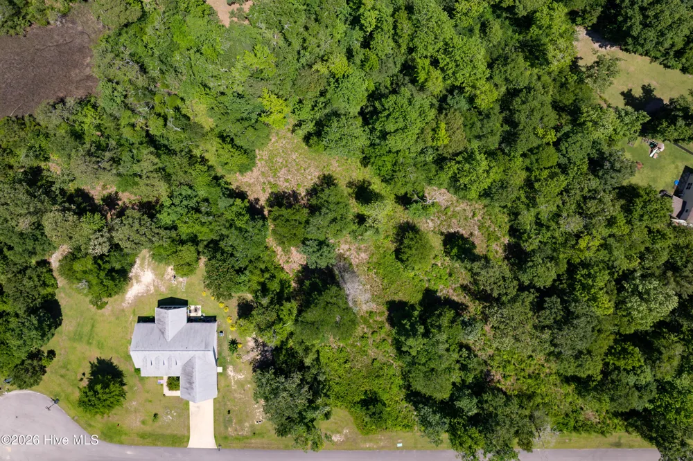 Lot 10 Tree Hill Lane Hubert, NC 28539